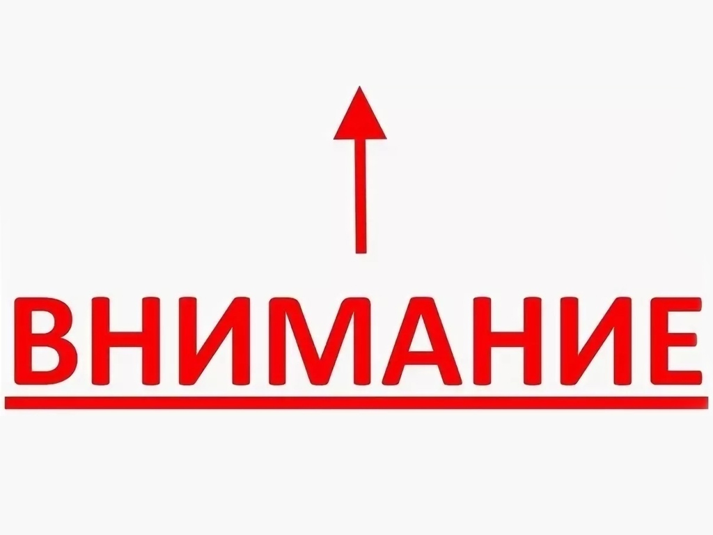 Сход граждан.